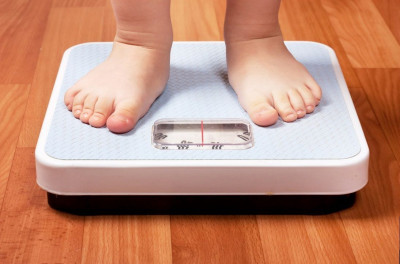 Le merendine non sono la causa dell’obesità nei bambini