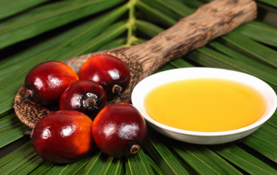 No all’olio di palma nell’alimentazione pubblica campana