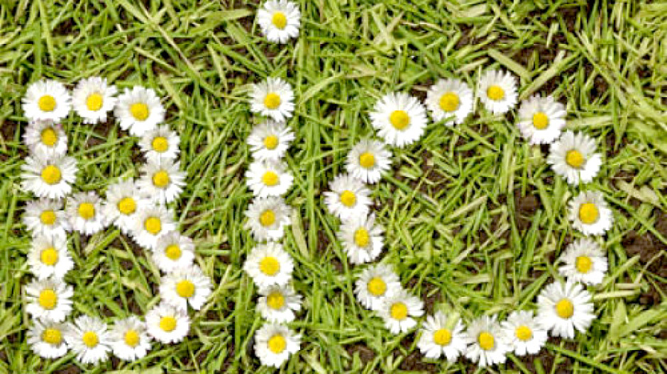 Il mercato biologico in italia chiuderà il 2016 con un +20%